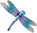 Dragonfly symbol